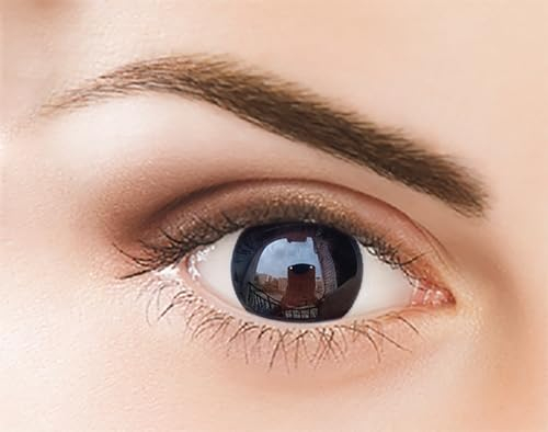 Kontaktlinsen - Schwarz Monatslinsen ohne Stärke – Natürliche Schwarz Kontaktlinsen farbig 2 Stück Farblinsen + Linsenbehälter (0.0 Dioptrien,DODO Schwarz)