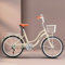 Damenfahrrad Retro Vintage Holland Citybike, 20 22 24 Zoll, 6 Gang, Tiefeinstieger, Leichtes Stadtfahrrad,Einstellbar,Vordere Und Hintere Bremsen