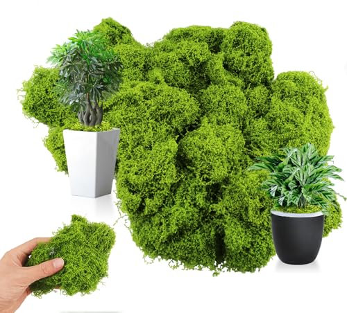 TAIXING 100g Artificial Moss, Light Green Fake Moss Faux Moss, Premium Artificial Moss for Plant Pots, Simulation Fake Plants Moss for Potted Plant Decoration Interior Landscape Model Making, Odorless