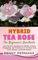 The Ultimate Hybrid Tea Rose Guide: Your Step-by-Step Blueprint to Growing and Caring For Stunning Hybrid Tea Roses