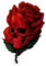Rose Skull Aufkleber Sticker Schädel Totenkopf Blumen Autoaufkleber Rosen JDM Tuning Stickerbomb ca. 12x8 cm