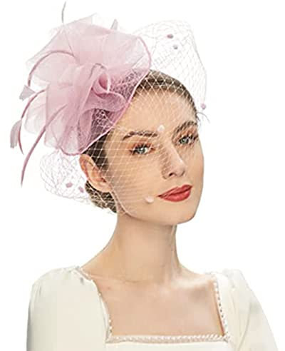 Damen Fascinator Hut,Vintage Braut Tiara Haarschmuck Schleier Haarspange,Hut Blume Mesh Bänder Federn auf einem Stirnband,für Hochzeiten,Gartenpartys,Dinnerpartys,Teepartys,Maskerade,Complexion