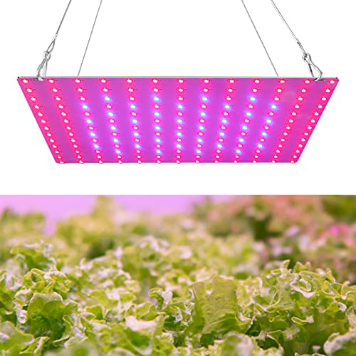 Ailgely LED Grow Light Rot Blau Vollspektrum 81LEDs Pflanzenlampe LED Panel Wachstumslampen für Pflanzen, Pflanzenlicht für Hydroponisches Gewächshaus Zimmerpflanze Wachstum