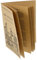 JOINPAYA Guide Dapprentissage du Boulier Chinois Manuel De Règles en Anglais Livre Dinstructions Complet pour Le Didacticiel