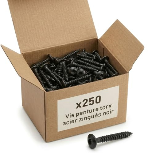 250 Vis Penture Torx acier zingués Noir - diamètre 5 mm - Longueur 40 mm mm - Diamètre 5 mm