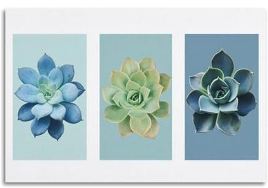 XHBKJA Stunning Succulent Trio in Soft - Hued, Eye - Catching Colors Poster Canvas Wall Art Minimalist Modern Mural Decorative Painting Hanging Artwork16x24inch(40x60cm)