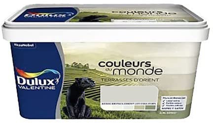 Dulux Valentine Couleurs du monde Terrasses d'Orient Clair 2,5 L