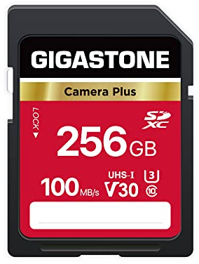 GIGASTONE 256Go Carte SD Camera Plus, Carte mémoire SDXC V30 Haute Vitesse vidéo UHD Compatible avec Appareil Photo numérique Canon, Nikon, Sony, Pentax, Kodak, Panasonic, avec 1 Mini étui