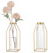Sziqiqi Gläser Propagation Station GestellVase - Gold Modern Blumenvase Set von 2 Reagenzglas Vase für Pflanzen Chi Metallstaende Tulpenvase für Wohnzimmer Tischdeko Badezimmer Office