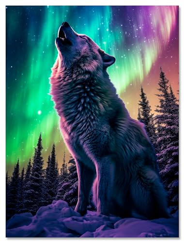 wandmotiv24 Leinwandbild Wolf, Polarlicht, Hochformat M0793
