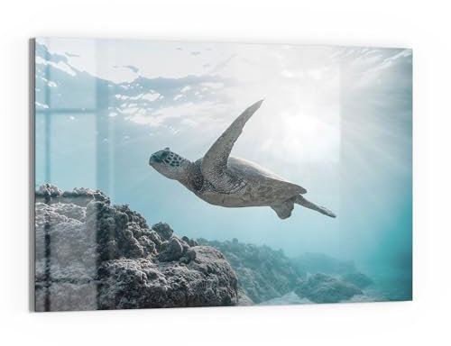 DEQORI Glas-Magnettafel | 90x60 cm cm groß | Motiv Sonnenstrahlen Segler | Memo-Board aus Glas | Magnetboard inkl. Magnete, Stift & Tuch für Küche & Büro | Tafel magnetisch & beschreibbar