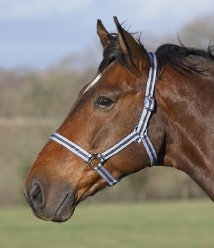 Shires Wessex Nylon Headcollar -Red/Silver Cob