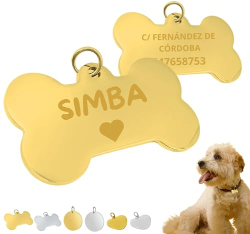 Tousy Pet Personalisierbares Identifikationsschild für kleine, mittelgroße und große Hunde und Katzen, Edelstahl, langlebig, professionelle Lasergravur, Medaille für Haustiere (S, goldenes Knochen)