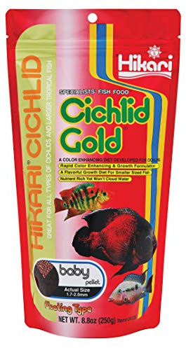 Hikari 4128 Cichlid Gold Floating Baby Pellets for Pets, 8.8-Ounce