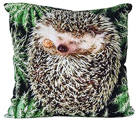 cosey Kissenbezug 45x45, Kissenhülle mit Motiv für Dekokissen, Sofakissen – Verschiedene Motive Polyester D16 Igel