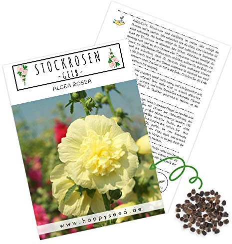 Stockrosen Samen zweijährig (Alcea Rosea, 100 Korn) - Wunderschöne Rosen mit langer Blütezeit für besondere Akzente in Ihrem Blumenbeet (Gelb)