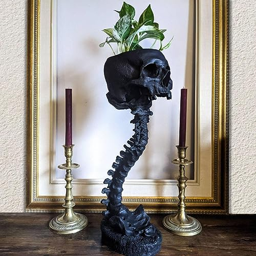 Crâne avec Épine Dorsale Pot De Jardinière Résine Tête De Mort en Forme De Pot De Fleur Squelette Home Decor Goth Spooky Décor Vase pour P-lantes Grasses, P-lantes D'intérieur