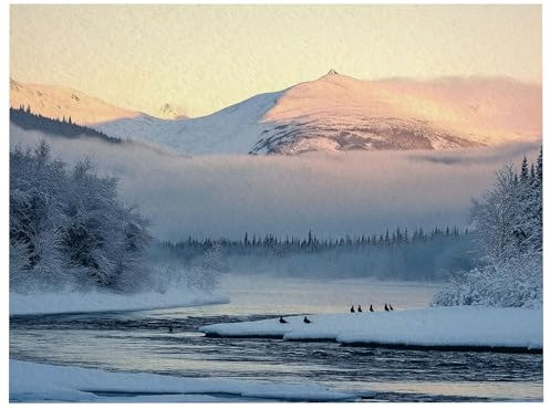 Bedruckt Schneebedeckte Berge in Alaska Flanell Grau und Weiß Teppich rutschfeste Türmatte Kunst Dekoration Spielteppich Geburtstag Geschenk Leicht zu reinigen und zu pflegen 60 x 110 cm