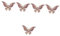 Holibanna 5 Pièces Broche de costume broches femme bonnet stitch épingles à broche fleurs de cheveux pour les femmes accessoire de broche de fête épinglette de vêtements pour femmes