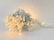 LEDZEIT-Profi Serie- Guirlande Lumineuse à Rallonge LED, sans Cordon d'alimentation, Lumière Constant, 10m, 100 LED Blanc Chaud, Doit être Connectée à la Chaîne de Base, Prolongable, étanche IP67