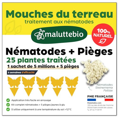 Maluttebio - Nematodes mouches terreau + 5 Pièges jaunes Anti Moucherons Interieur (mouche de terreau) - Tres Efficace - écologique - Attrape Mouche De Plantes