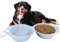 Gamelle d'eau portable pour chien - Double gamelle pliable pour les déplacements avec récipient à friandises pour chiots et chatons