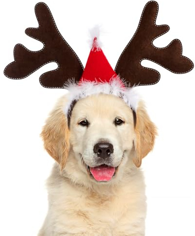 JEWEDECO Bandeau Cerf en Peluche Rouge pour Chien et Chat, Accessoire de Tête Confortable et Créatif, Saison des Fêtes de Noël en Extérieur