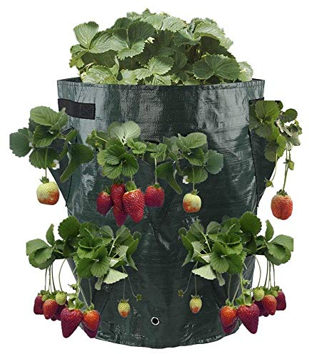 JYCRA Bolsa de cultivo de fresa, ecológica, con 8 bolsillos de crecimiento laterales, con asas para fresas, hierbas y flores, 41 l , PE, Verde, 2Pack
