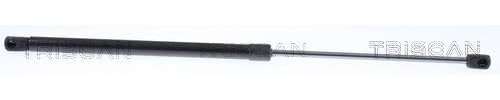 Triscan 8710 23297 Gas Spring for Luggage Compartment