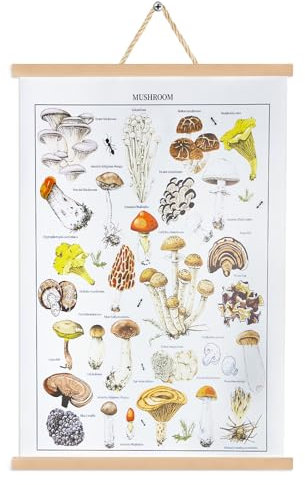 LAGAHS Vintage Pilz Poster Aufhänger mit hölzernen Scroll Frame, Fungus Wall Art Prints, rustikale Pilz Identifikation Referenz Chart Poster für Wohnzimmer, Büro, Schlafzimmer Dekor