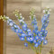 semi di delphinium Delphinium elatum piante giardino fiori esotiche in vaso, da balcone perenni vasi per bonsai pianta 10pcs