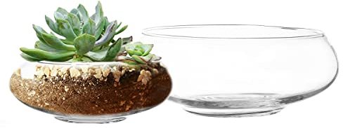 Royal Imports Flower Glass Vase, Bowl Terrarium Succulent Planter, Air Plant Hydroponic Display, Floating Candles Decorative Centerpiece Floral Container for Home or Wedding Set of 2, Clear