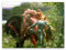 ZZPT La Belle Dame Sans Merci Poster – Frank Dicksee Prints – Berühmte Gemälde-Reproduktion – Moderne Leinwand Wandkunst Bilder für Schlafzimmer Wohnzimmer Wohnkultur ungerahmt (30 x 40 cm)