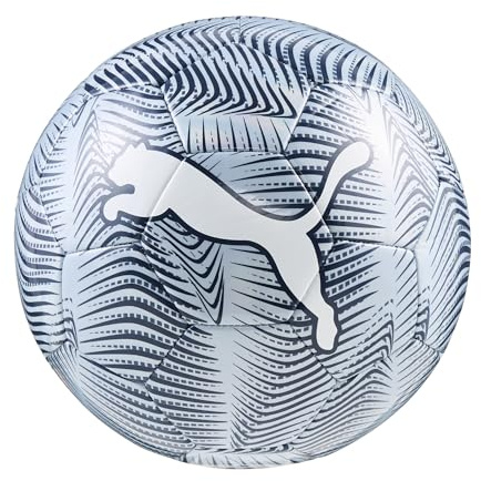 PUMA Final Graphic Ball Trainingsbälle