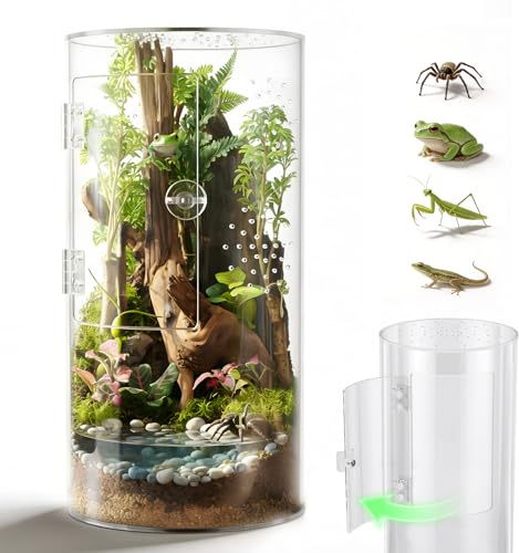 Zylindrisches Acryl Springspinne Terrarium - 360° Panorama Paludarium Vivarium mit Belüftung und seitlicher Tür, ideales Pflanzen Terrarium für Geckos & Baumfrösche und Insekten