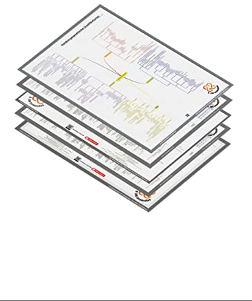 Geprüfter Wirtschaftsfachwirt IHK - 5x riesige XXL Übersichts- u. Lernkontrollposter für den gesamten Überblick zum Lernen und Markieren Made in Germany | erfolgreich lernen