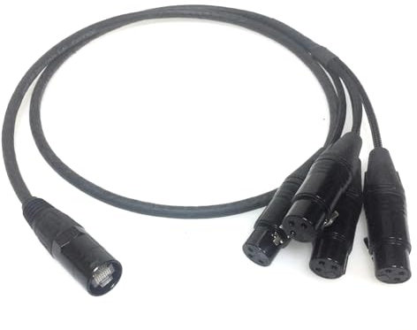 DG Systems – Cable de Ethercon a 4 XLR hembra para audio/DMX sobre cable Cat5E – Fabricado en Italia (50 m)
