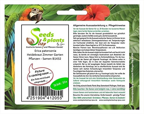 Stk - 10x Erica patersonia Heidekraut Zimmer Garten Pflanzen - Samen B1432 - Seeds & Plants Shop by Ipsa