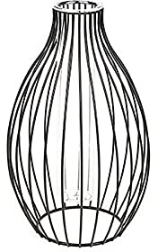 Dysetcs Schwarze Metallrahmen Vase Rohr Glas Pflanzgefäß mit geometrischem schwarzem Metallständer Metall geometrische Blumenvase Laternenform für Zuhause Büro Hochzeit Party Heimdekoration