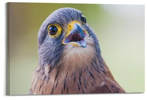HUANA Tier-Poster, Vogel, Falco, Tinnunkulus, dekoratives Gemälde, Leinwand, Wandposter und Kunstdruck, moderne Familienschlafzimmer-Dekoration, Poster, 60 x 90 cm