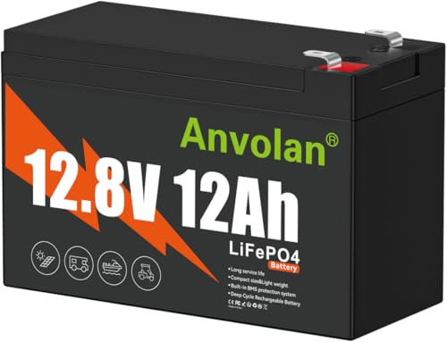 12V 20Ah LiFePO4 Lithium-Batterie, 3000+ Zyklen 12volt gebaut in 20A BMS, 12V 20Ah Batterie für Garmin Fish Finder Batterie, Power Wheels, Mobility Roller, Beleuchtung (12V 12Ah)
