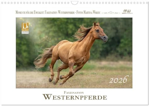 Faszination Westernpferde (Wandkalender 2026 DIN A3 quer), CALVENDO Monatskalender: Westernpferde in ihrer ganzen Schönheit (CALVENDO Tiere)