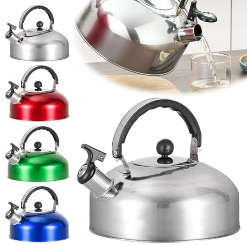 DAGESVGI 3L Heavy Duty Camping Kettle Whistle Kettle Gas Stove Portable Tea Pot, Stainless Steel Flat Bottom Boiling Pot for Induction, Easy to Use Clean (Silver)