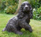 RP Home Resin Dog Cocker Spaniel Sculpture Garden Ornament Patio Figurine Outdoor Animal