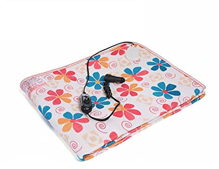 REJOON Beheizter Überwurf Heizdecke for Auto Auto Elektrische Erwärmung Heizdecke Pad Schulter Nacken Mobile Heizung Schal USB Lade Heizdecken Heizdecke (Color : 12v 45x45cm, Size : 1)