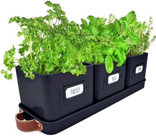 Green Thumbz Vasi per Piante da Interno - Set Sottovaso e 3 Vasi Nero (10,5 x 10,5cm) - Pratico ed Elegante Kit Erbe Aromatiche da Interno per Piantine Decorative per Casa o Ufficio