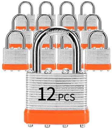 LQYN - Lucchetti con stessa chiave, 12 lucchetti laminati con chiave (40 mm), serrature uguali con chiave, gancio normale, per armadietti, chiavistelli, cassette degli attrezzi, capannoni