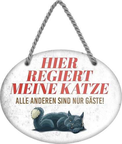 schilderkreis24 - Cartel de chapa de 18 x 14 cm - Aquí gobierna mi gato, todos los demás son solo invitados. - Decoración divertida para los amantes de los gatos