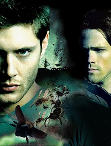 HfmQuisutron Jigsaw Puzzle 1000 Teile Horrorfilm Harvelle Poster Holzpuzzle Home Stressabbau Spiel Yw417Az