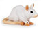 Papo - 50222 - Figurine - Souris Blanche